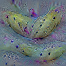 n07753592 banana